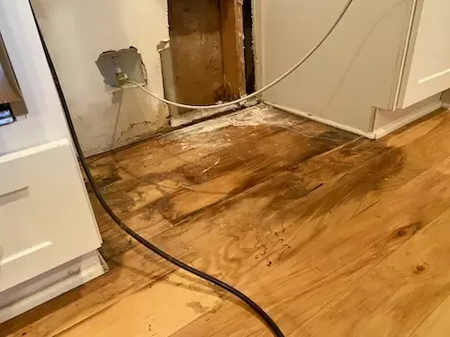 Water-stained hardwood beside the supply hose of a leaking refrigerator ice maker