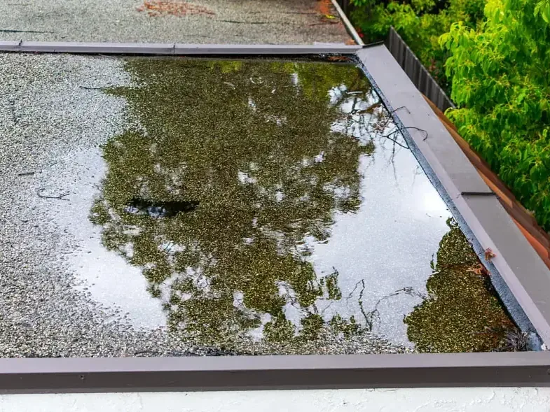 Rainwater ponding on a flat section of roof